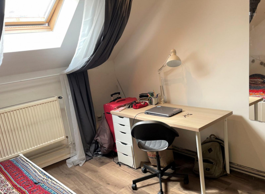 Bright double bedroom in a 7-bedroom apartment close to Grebovka park