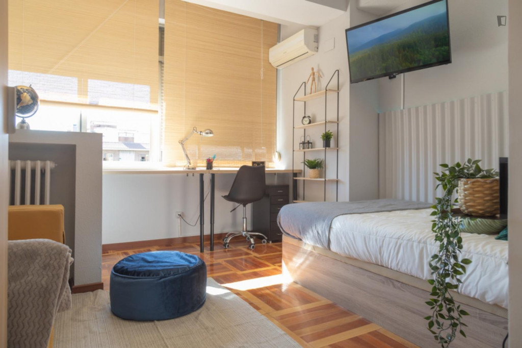 Attractive double bedroom in the Retiro neighbourhood - Madrid - chambre - ImmoJeune