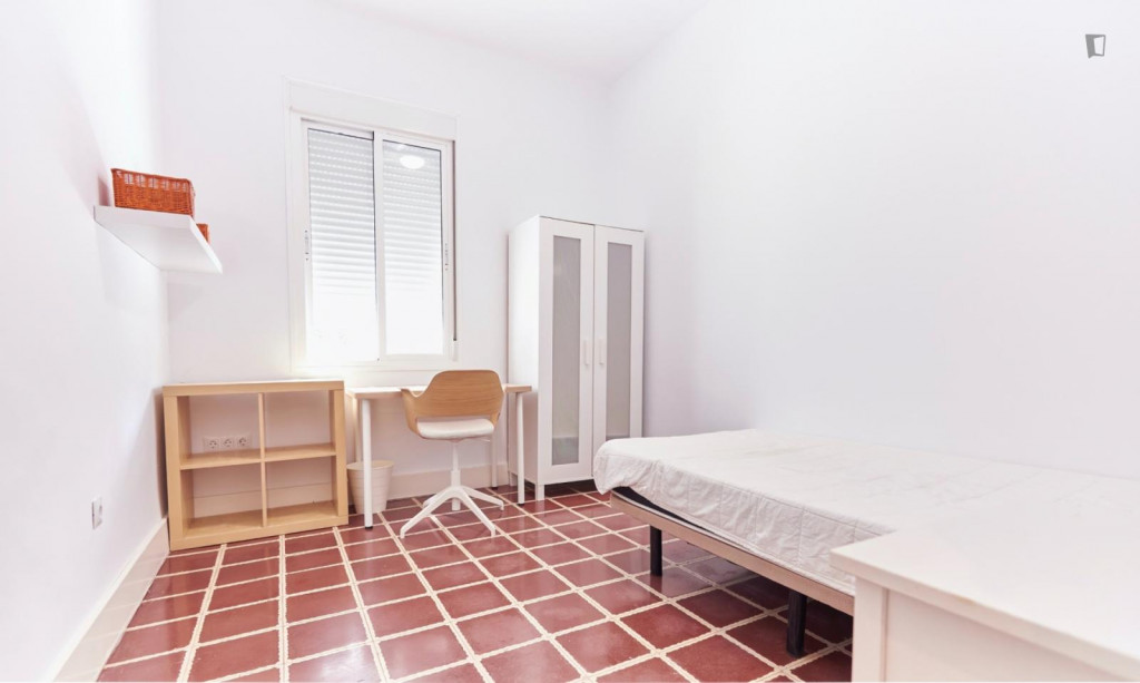 Pleasant single bedroom near Facultad de Biología - Séville - chambre - ImmoJeune