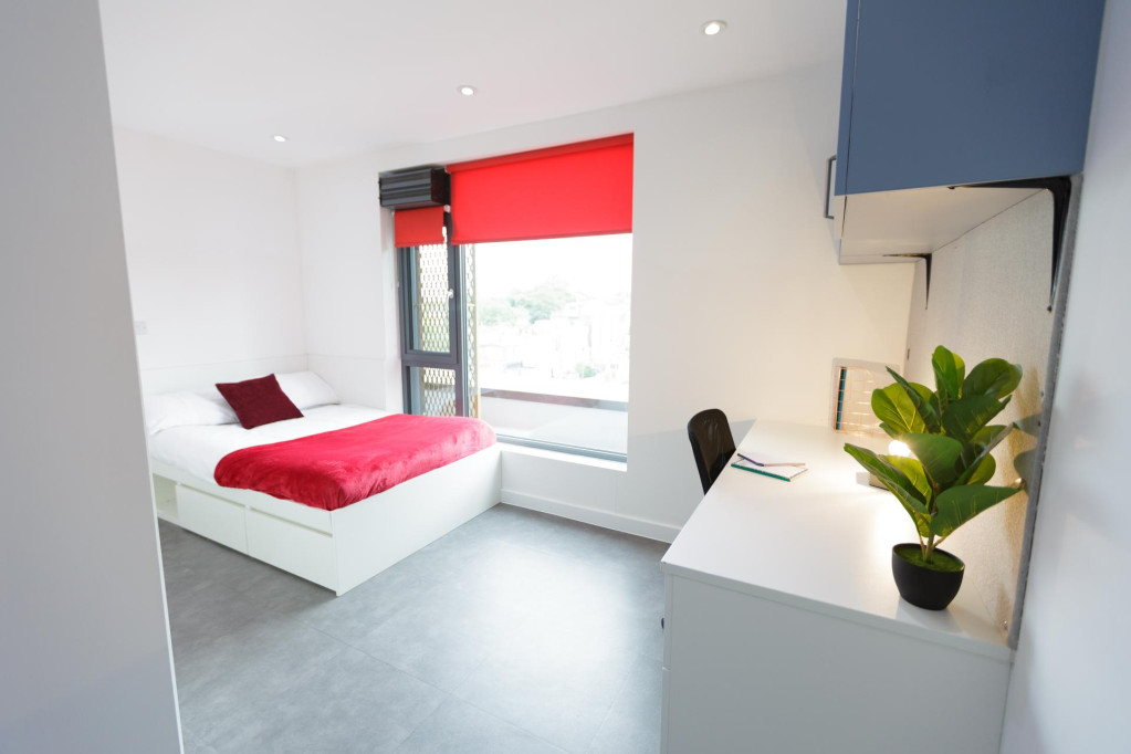 AXO New Cross - London - chambre - ImmoJeune
