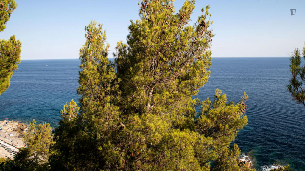 Charming 1-bedroom apartment with balcony near Capo Nero