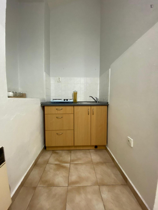 Neat studio in proximity to Prague University of Economics and Business