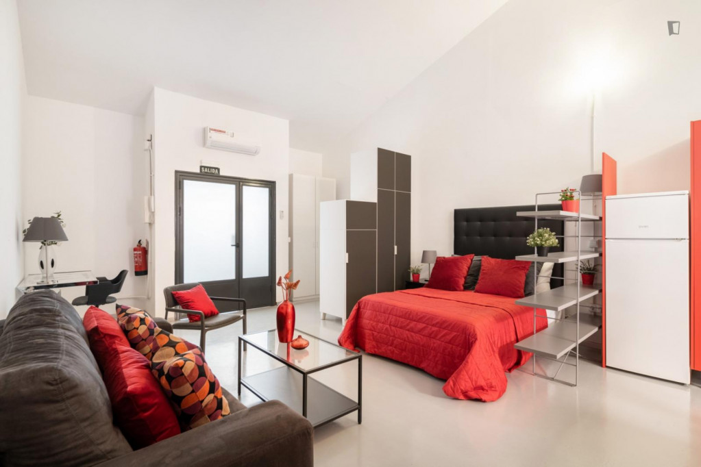 Well-equipped studio near Pueblo Nuevo metro station - Madrid - chambre - ImmoJeune
