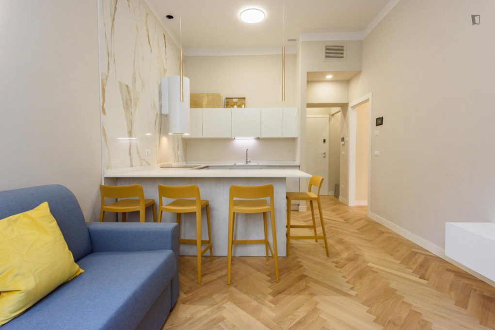 Excellent 1-bedroom apartment near Syracuse University in Florence