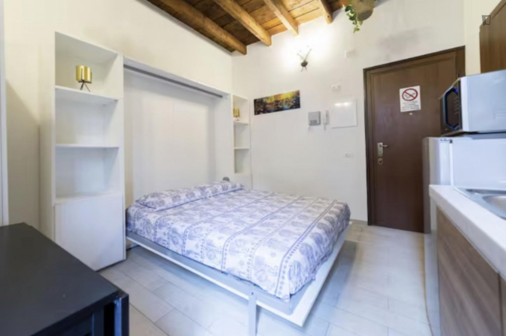 Nice studio close to Milano Centrale Train Station - Milan - chambre - ImmoJeune