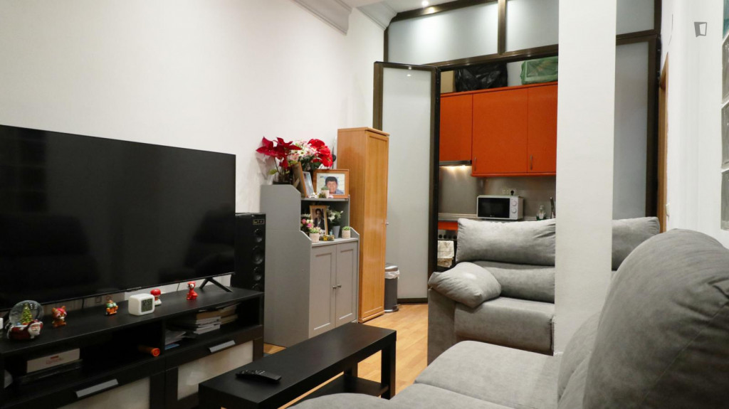 Very comfy 1-bedroom apartment in Valdeacederas - Madrid - chambre - ImmoJeune