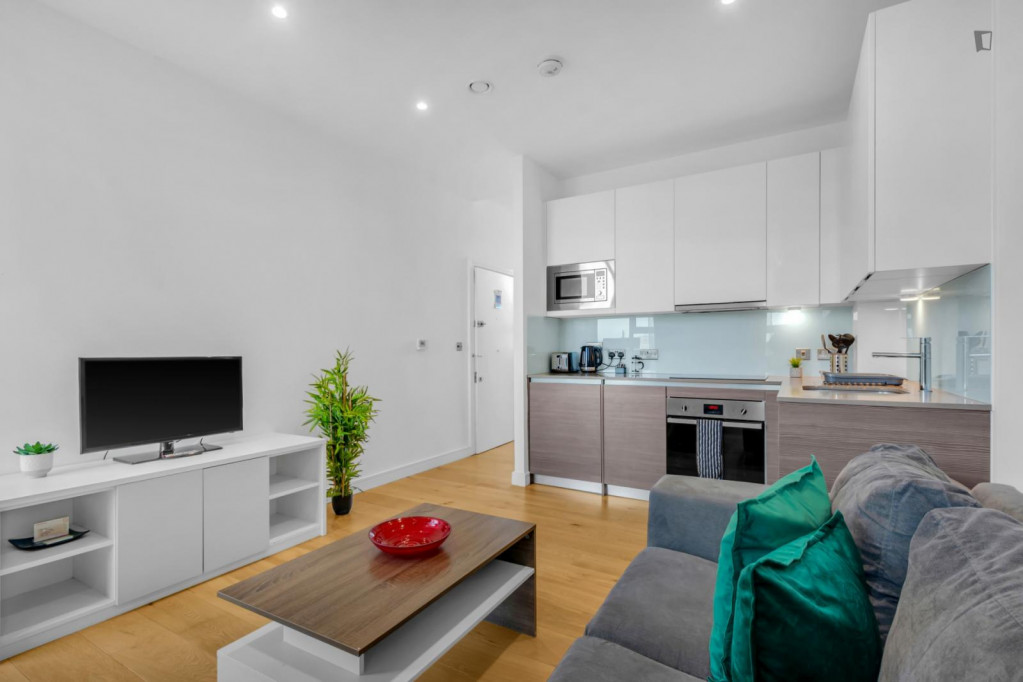Bright studio near Hounslow Central Tube Station - London - chambre - ImmoJeune