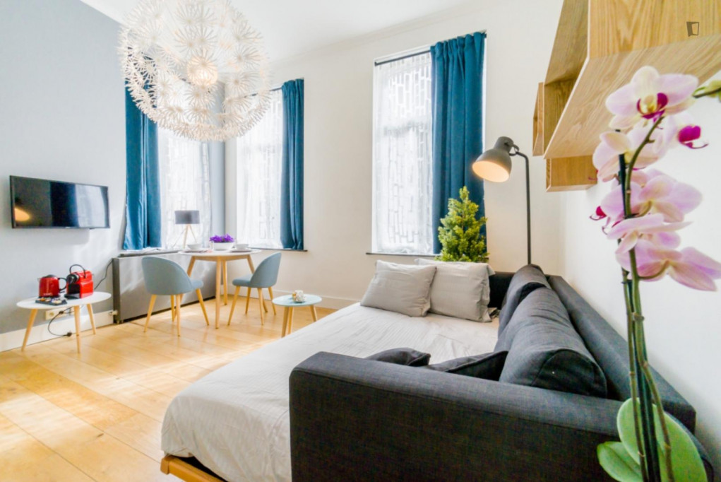 Quaint Studio in UN World Heritage Site - Bruxelles - chambre - ImmoJeune