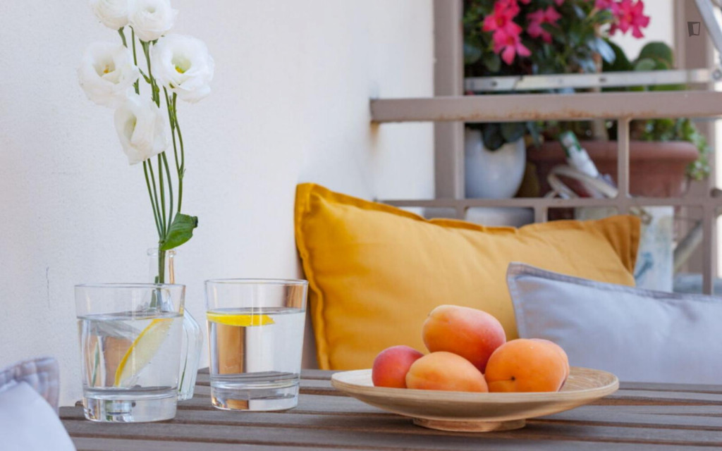 Breezy and welcoming studio in Bellariva
