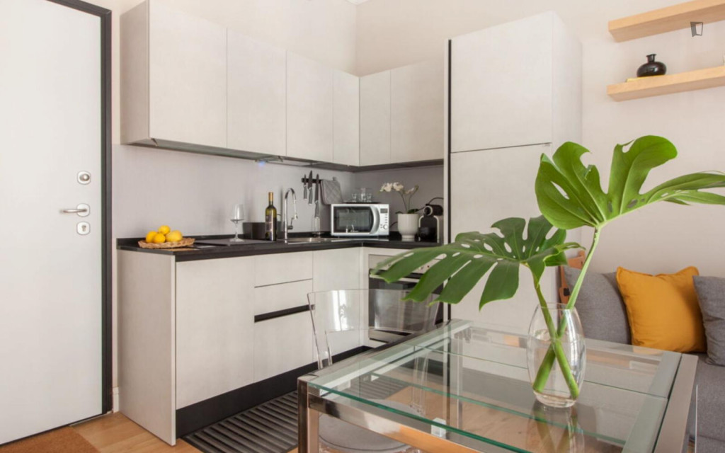 Breezy and welcoming studio in Bellariva