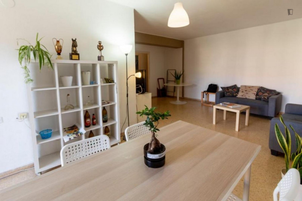 Big and bright 4-bedroom apartment near the Tarongers campus of Universitat de València - Valence - chambre - ImmoJeune