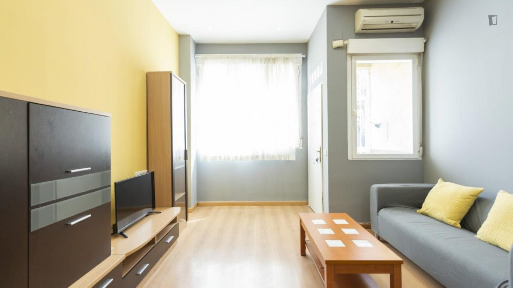 Snug studio in San Isidro - Madrid - chambre - ImmoJeune