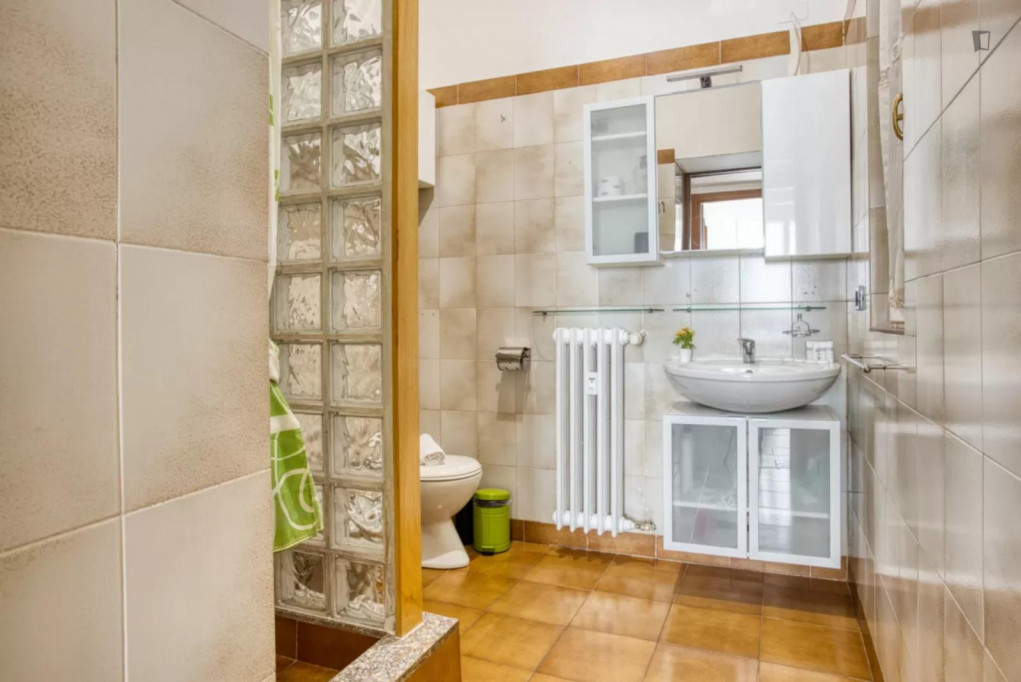 Sunny 1-bedroom apartment in Chinatown
