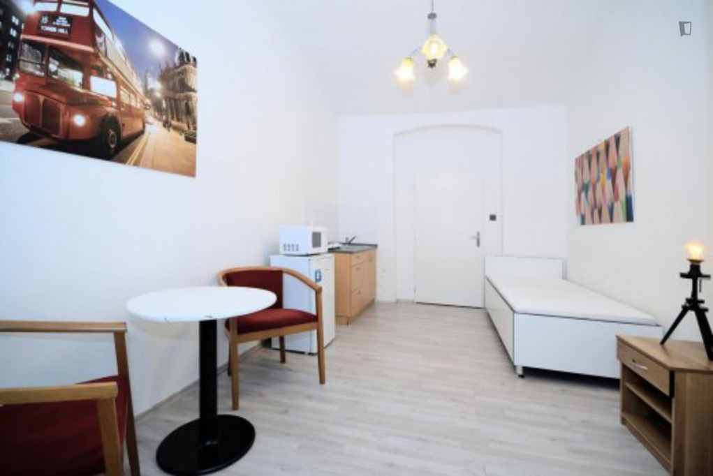 Humble studio close to Parukářka park - Prague - chambre - ImmoJeune