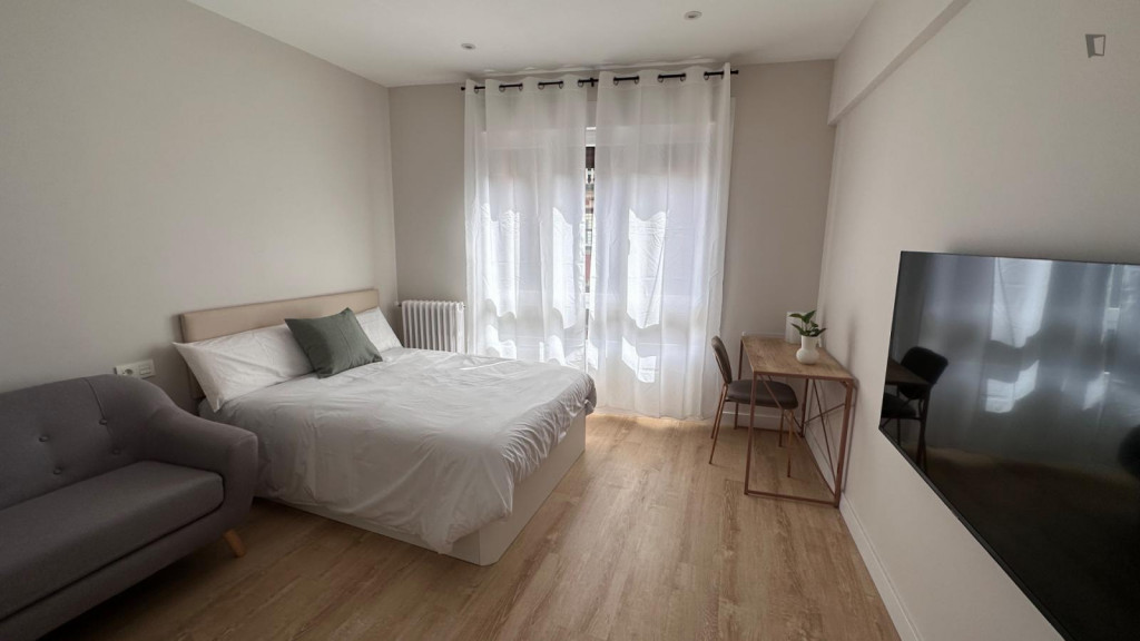 Bright double bedroom in the center of Bilbao - Bilbao - chambre - ImmoJeune