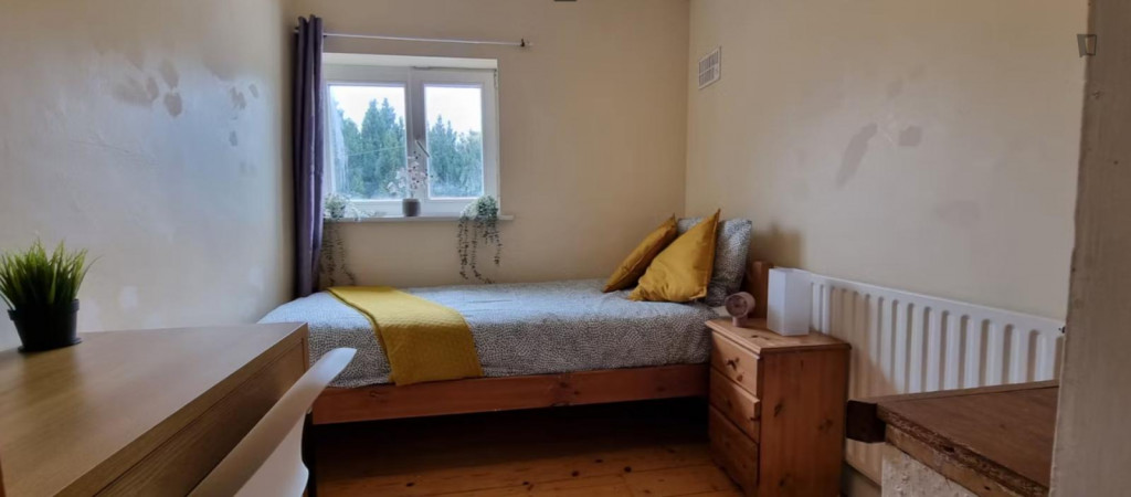 Cosy single bedroom near Dublin City University - Dublin - chambre - ImmoJeune
