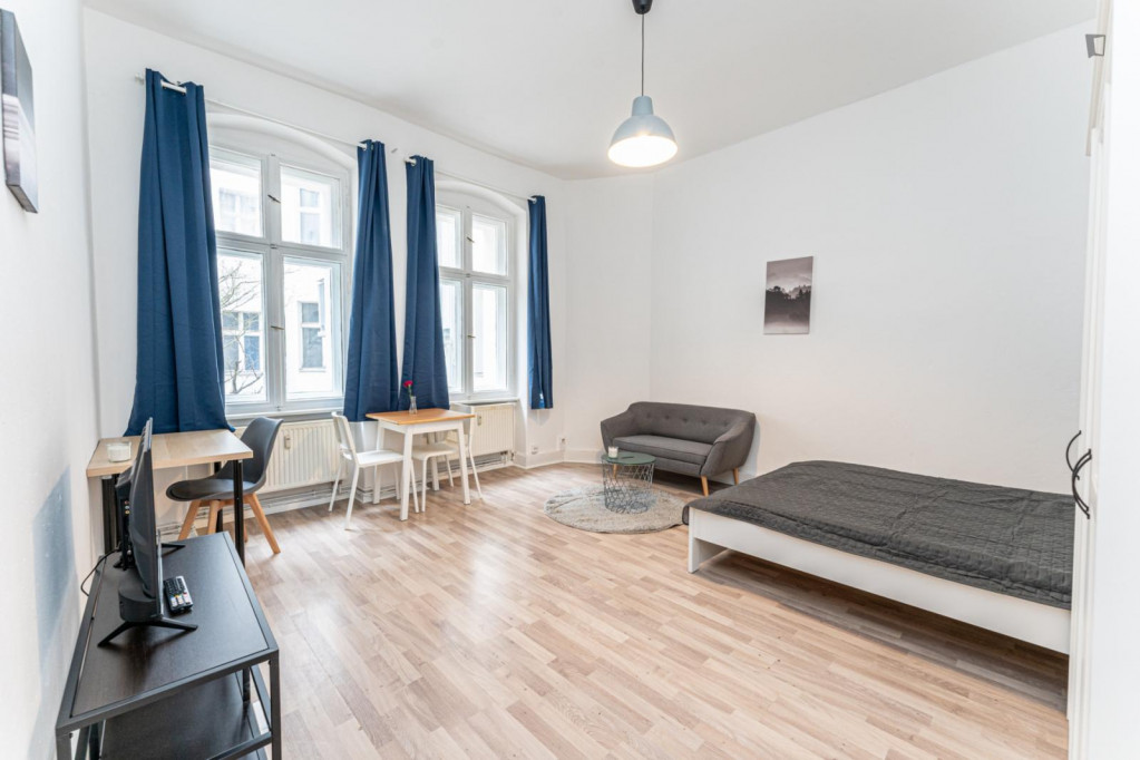 Lovely and bright 1-bedroom apartment in Pankow - Berlin - chambre - ImmoJeune