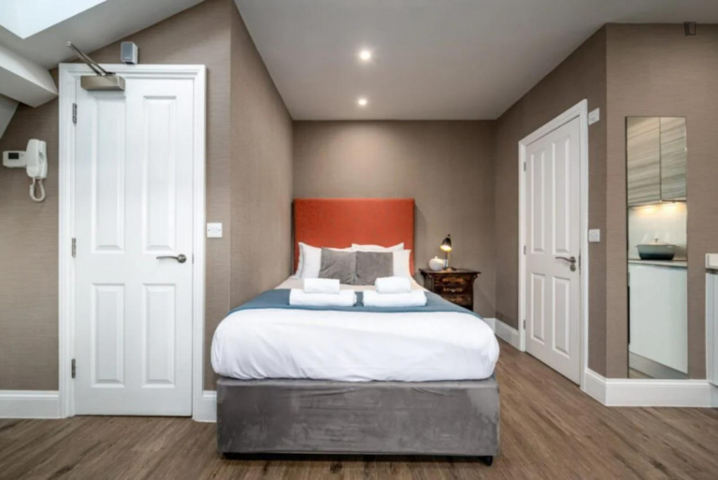 Cute Studio Apartment in Bristol - Bristol - chambre - ImmoJeune