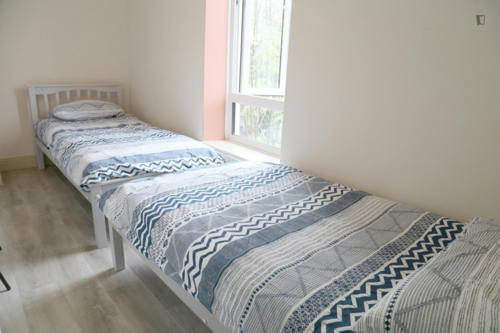 Bed in twin bedroom, in Phibsborough - Dublin - chambre - ImmoJeune