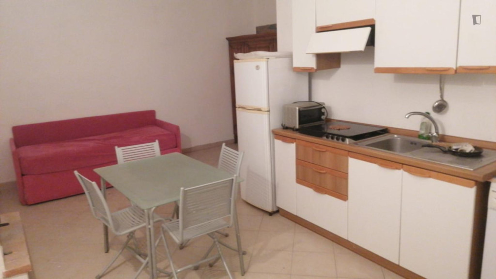 Homely studio near Università degli Studi di Torino