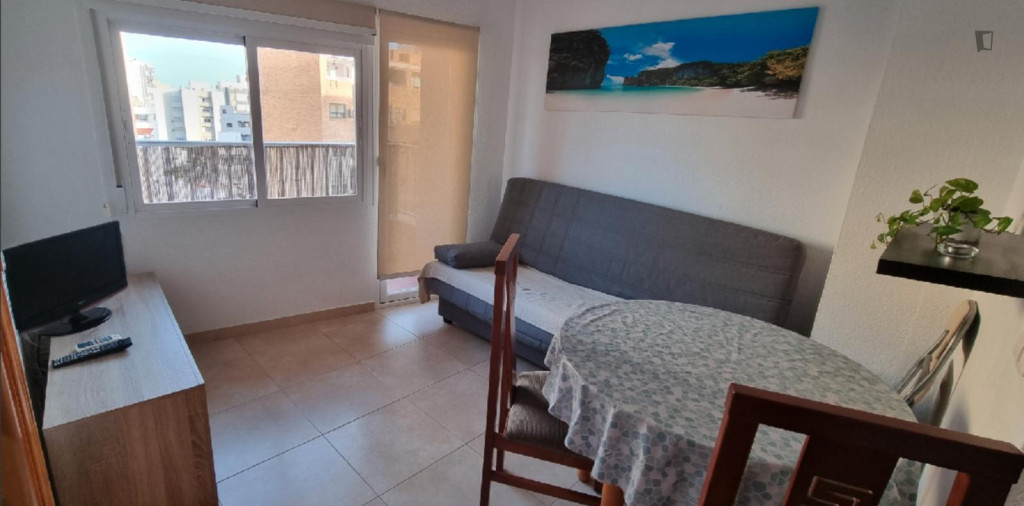 Cozy 1 Bedroom Apartment close to San Miguel Beach - Almeria - chambre - ImmoJeune
