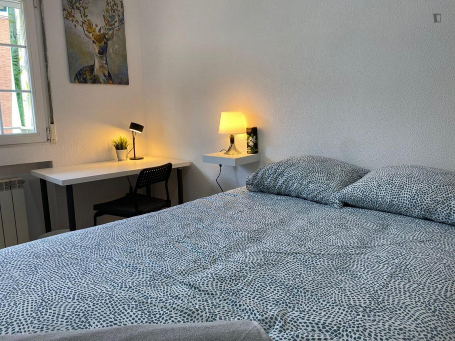 Appealing single bedroom - Valence - chambre - ImmoJeune