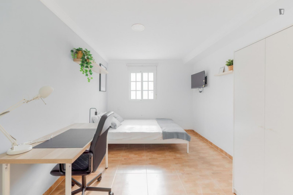 Cozy single bedroom