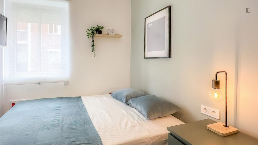 Cozy single bedroom - Valladolid - chambre - ImmoJeune