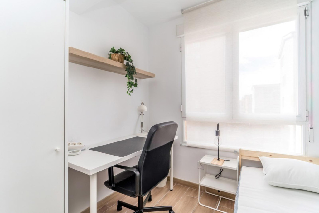 Great looking single bedroom - Valladolid - chambre - ImmoJeune