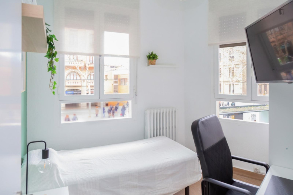 Attractive single bedroom - Zaragoza - chambre - ImmoJeune