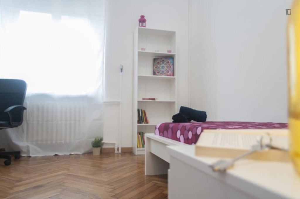 Interesting single bedroom in Campidoglio