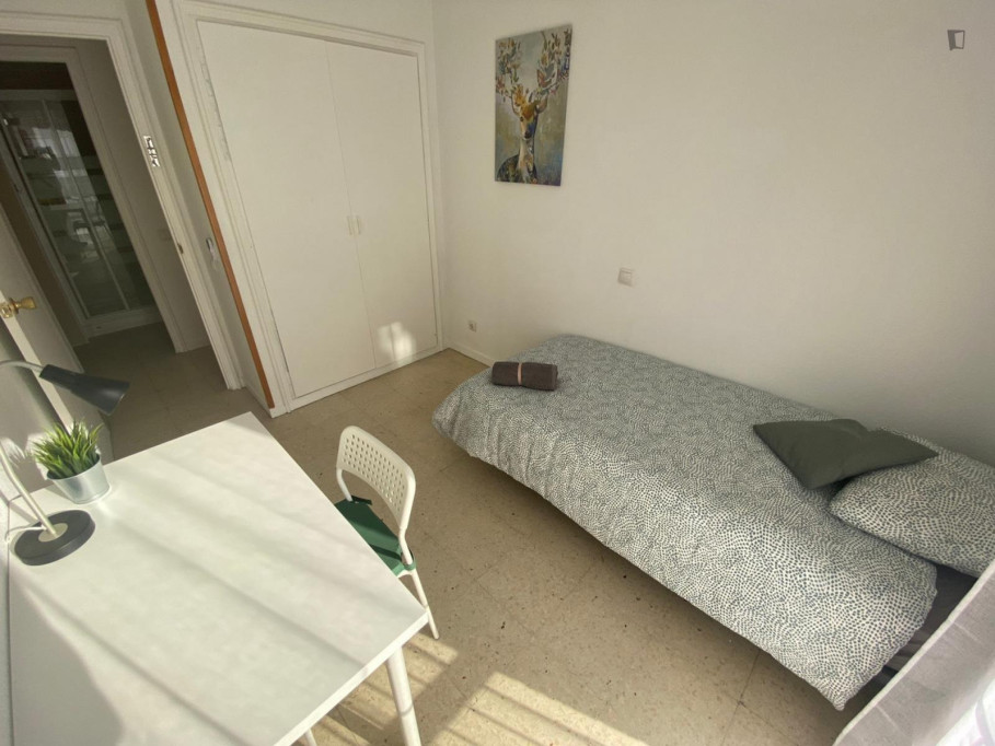 Great looking single bedroom - Madrid - chambre - ImmoJeune