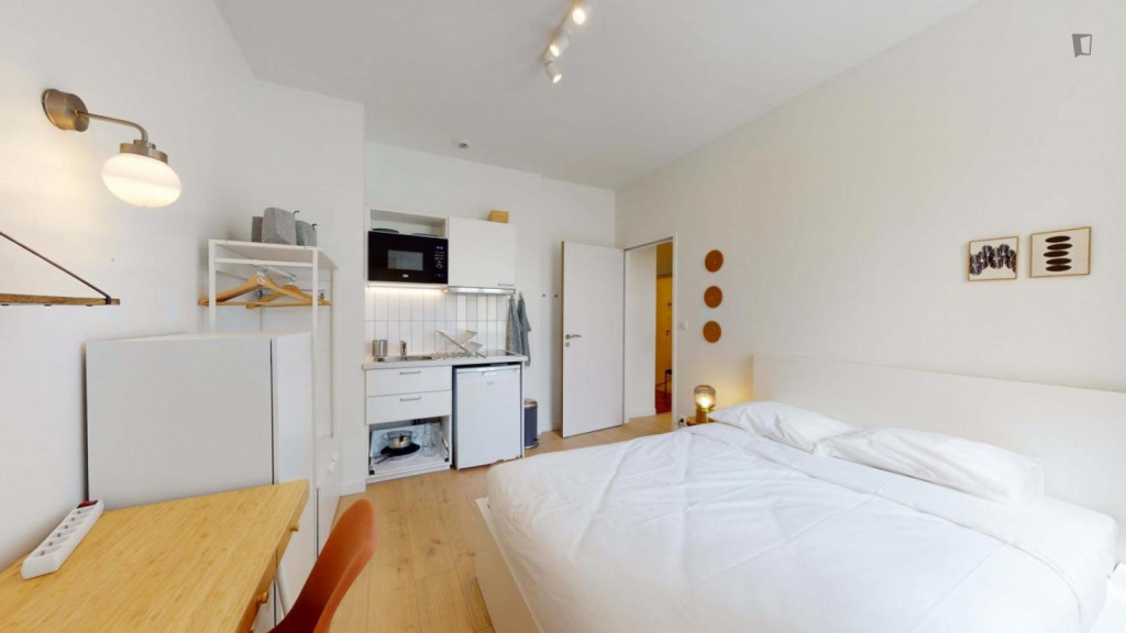 Pleasant studio in Downtown