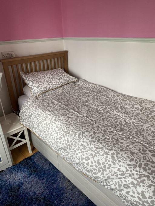 Homestay in 20min to Trafalgar SQ - London - chambre - ImmoJeune