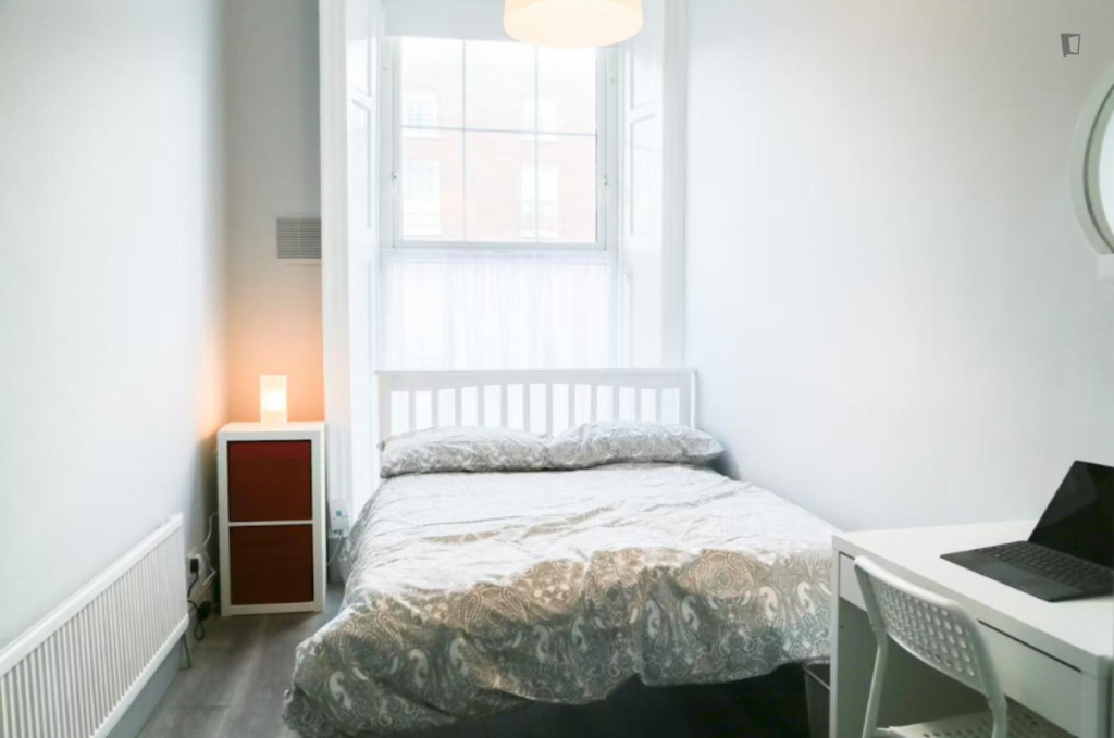 Cosy double bedroom next to Mount Joy Square Park - Dublin - chambre - ImmoJeune