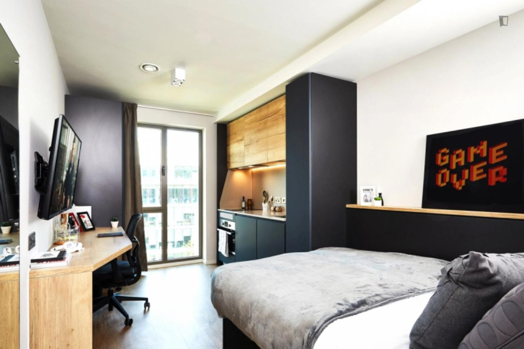 Tasteful studio close to Cardiff University - Cardiff - chambre - ImmoJeune