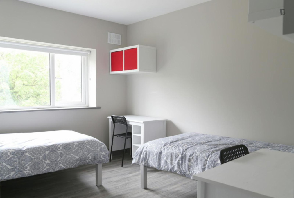Bed in a charming twin bedroom, near Dublin City University - Dublin - chambre - ImmoJeune