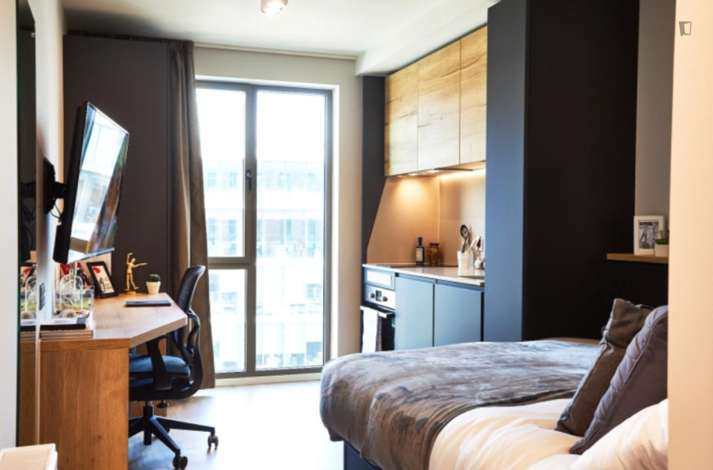 Cosy studio close to Nottingham Trent University - Nottingham - chambre - ImmoJeune