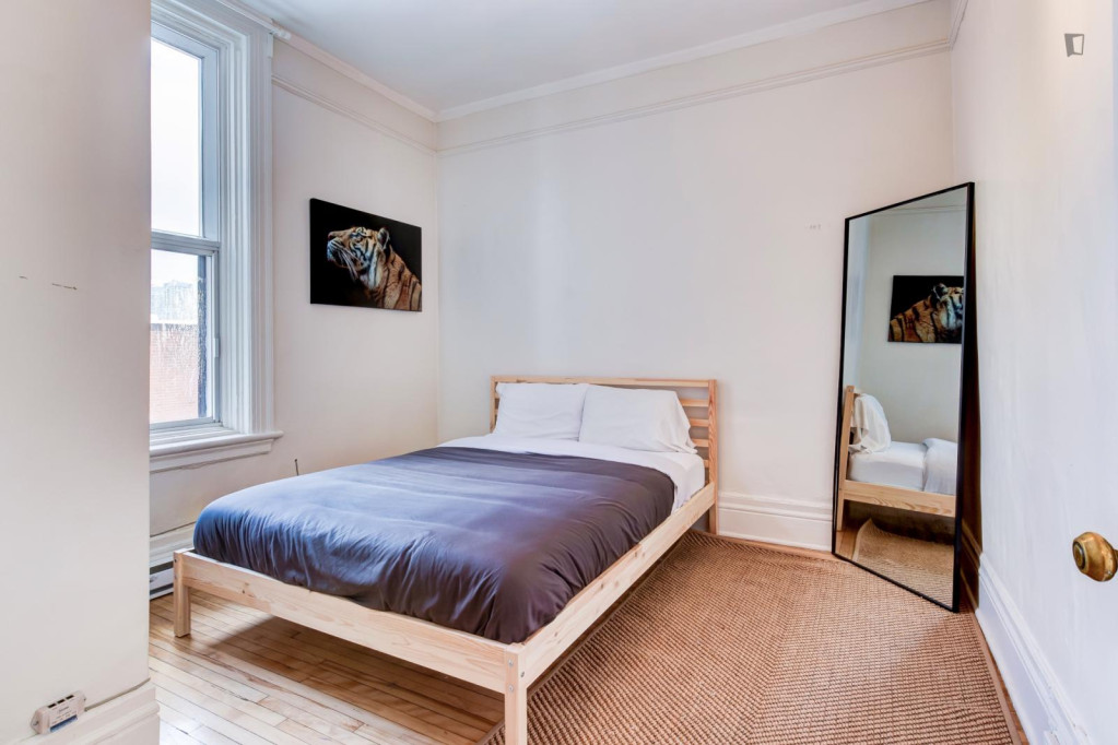 Bright 1-bedroom apartment near Dawson College - Montreal - chambre - ImmoJeune