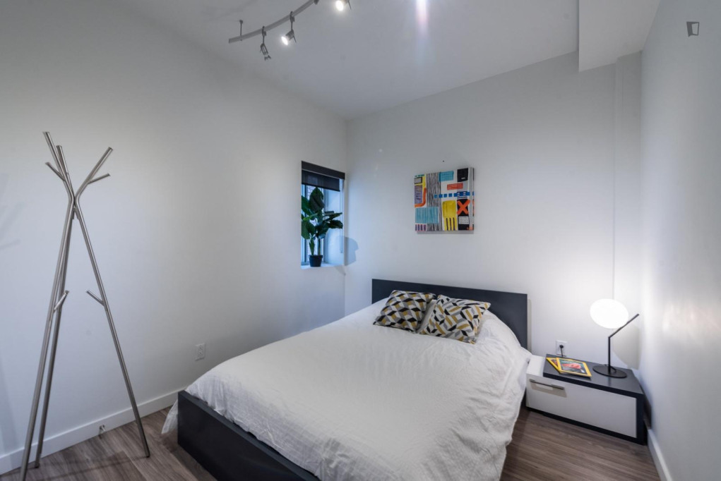 Pleasant double ensuite bedroom close to McGill University - Montreal - chambre - ImmoJeune