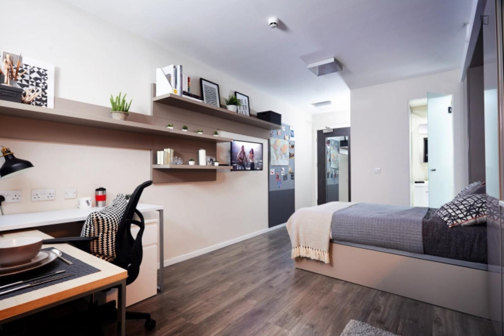 Comfy studio close to the Queen's Park - Southampton - chambre - ImmoJeune