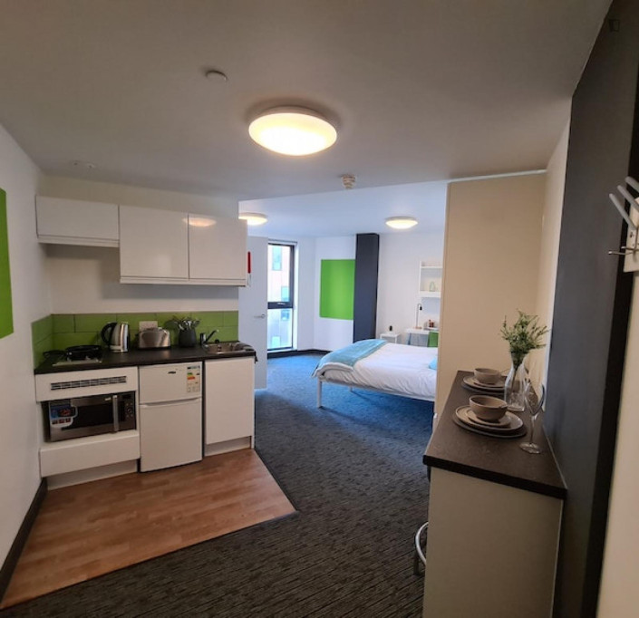 Cosy double ensuite bedroom close to Newcastle United Football Club