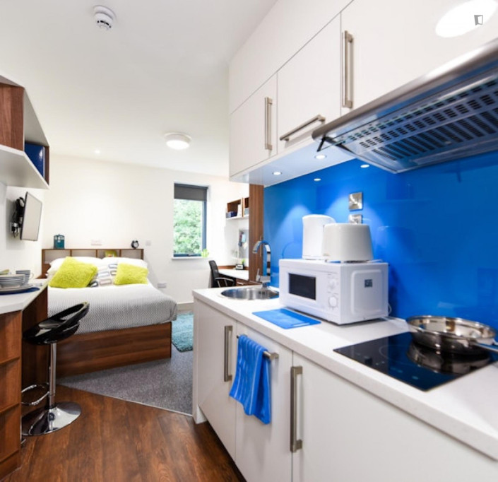 Nice studio close to College of St. Hild and St. Bede - Durham - chambre - ImmoJeune