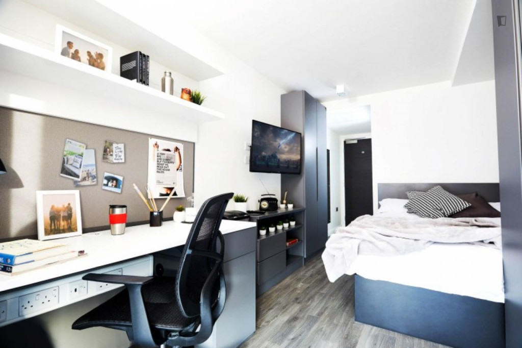 Cute studio close to Southampton Common - Southampton - chambre - ImmoJeune