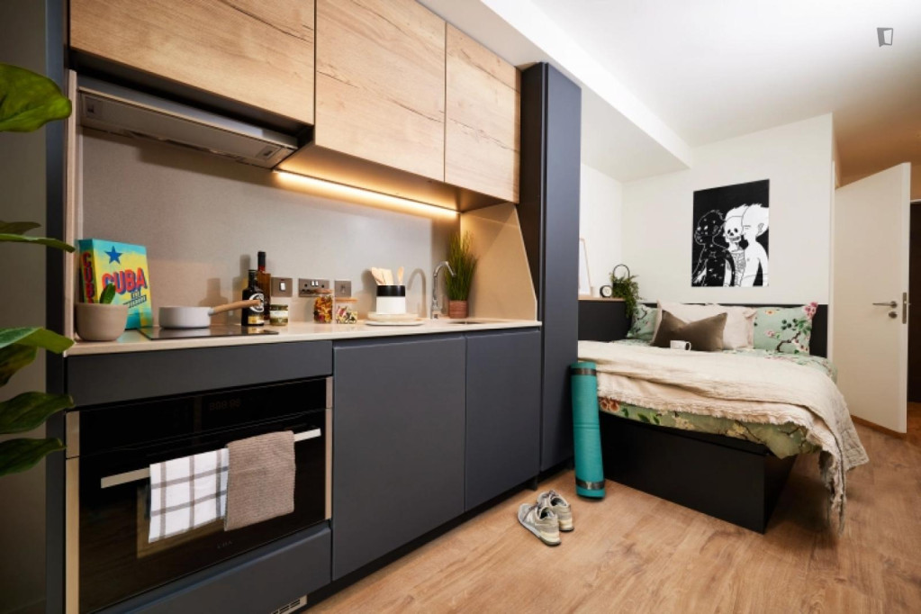 Great studio near Cannon Park Shopping Centre - Coventry - chambre - ImmoJeune