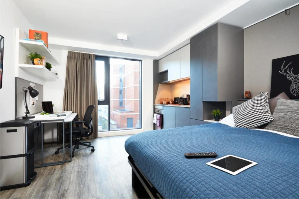 Nice studio close to Bruntsfield Links - Edinburgh - chambre - ImmoJeune