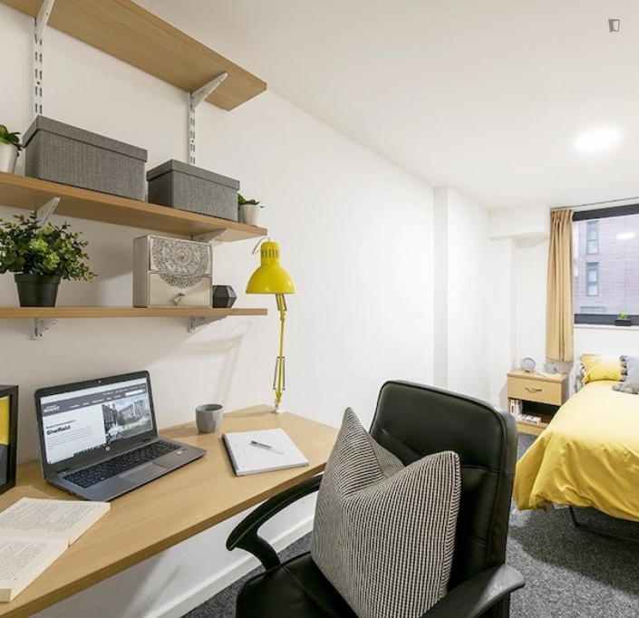 Stylish double ensuite bedroom close to the School of Law - Sheffield - chambre - ImmoJeune