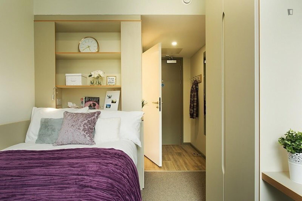 Comfy double ensuite bedroom not very far from the Trinity College - Dublin - chambre - ImmoJeune