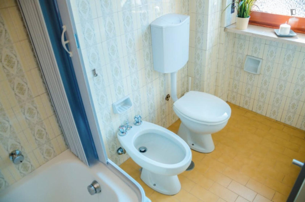 Spacious single bedroom near Parco Dora