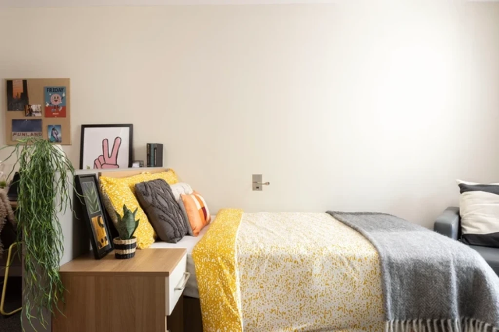 Chalmers Street Unite - Edinburgh - chambre - ImmoJeune